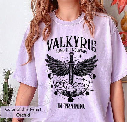 The Night Court Comfort Shirt, Valkyrie in Training Shirt Sweatshirt, Nesta Archeron Gwyn Emerie Cassian Azriel Illyrian Training Camp Velaris TOG Sarah J Maas Shirt