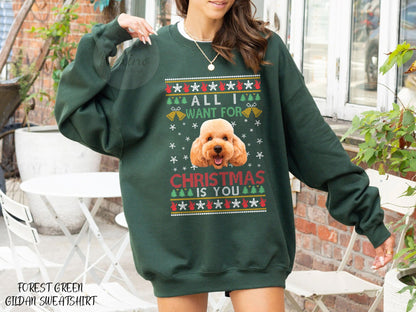 Custom Face Christmas Sweater, Custom Photo Ugly Christmas Sweaters, Christmas Ugly Sweater, Custom Face Christmas Sweatshirt, Family Shirt