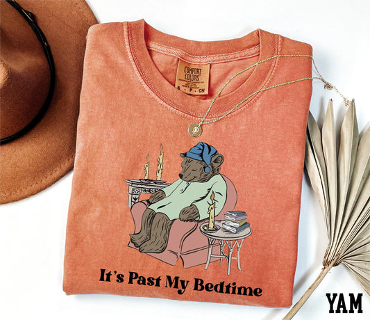 It's Past My Bedtime Shirt, Sleepy Bear Shirt, Funny Bear Shirt, Bear Meme Shirt, Sarcastic Bear Shirt, Funny Meme Shirt