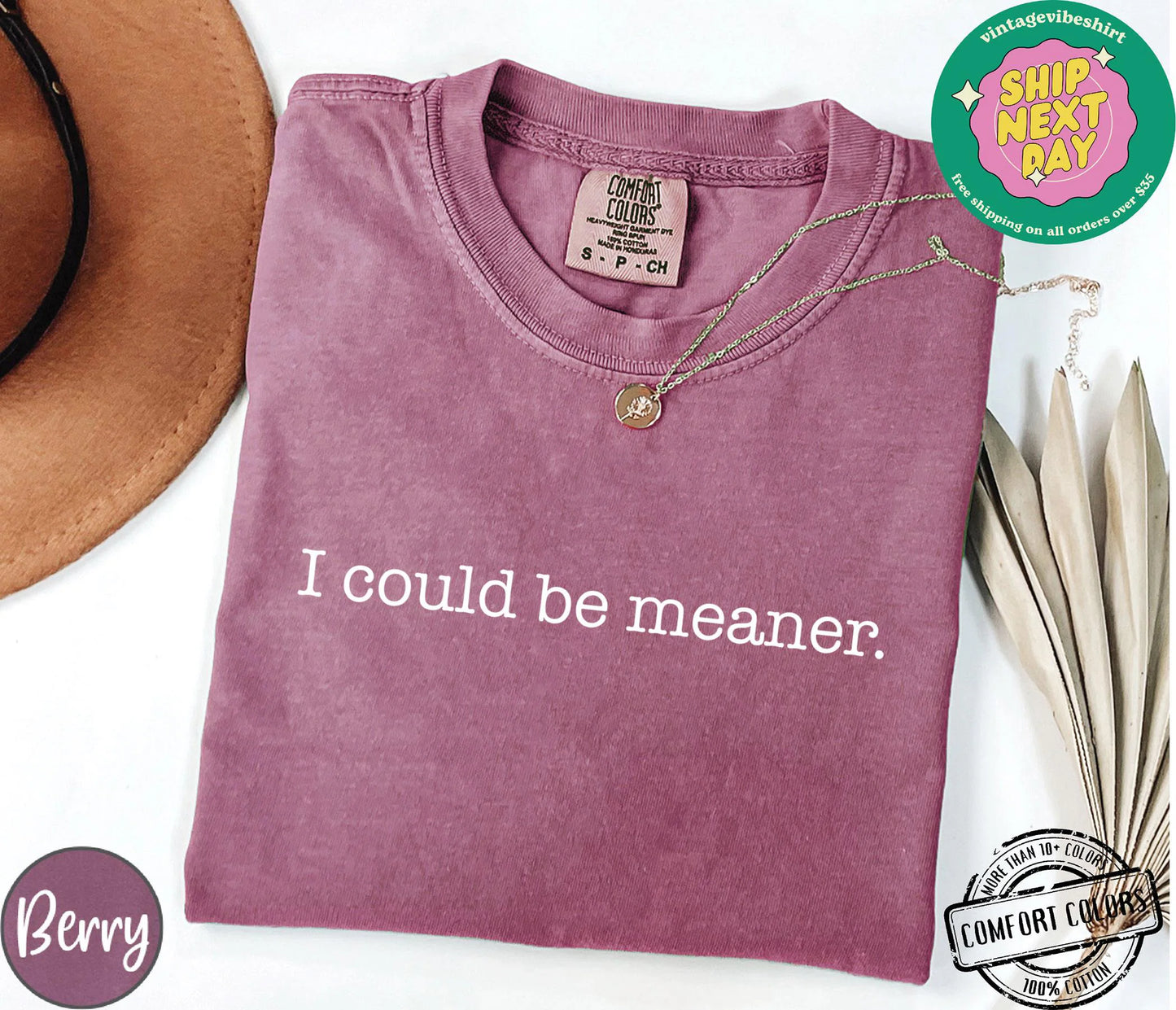 I Could Be Meaner Shirt, Sarcastic Sweatshirt, Funny Quote Crewneck, Funny Humor Shirt, Trendy Shirt For Woman, Sarcasm Tees