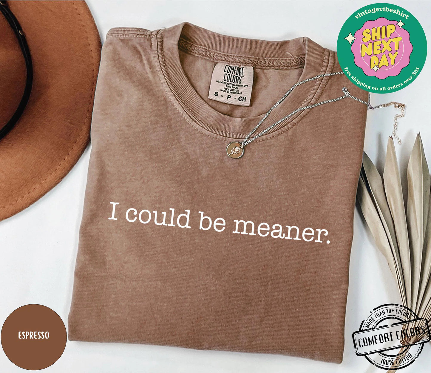 I Could Be Meaner Shirt, Sarcastic Sweatshirt, Funny Quote Crewneck, Funny Humor Shirt, Trendy Shirt For Woman, Sarcasm Tees