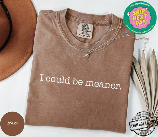 I Could Be Meaner Shirt, Sarcastic Sweatshirt, Funny Quote Crewneck, Funny Humor Shirt, Trendy Shirt For Woman, Sarcasm Tees