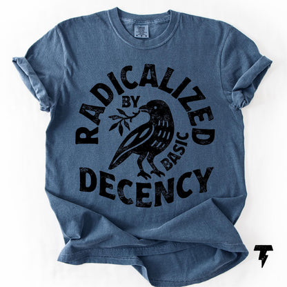 Radicalized By Basic Decency Unisex Comfort Colors® T-shirt, Political Protest Tee, Feminist Activist Gift, Liberal Clothing, Social Justice