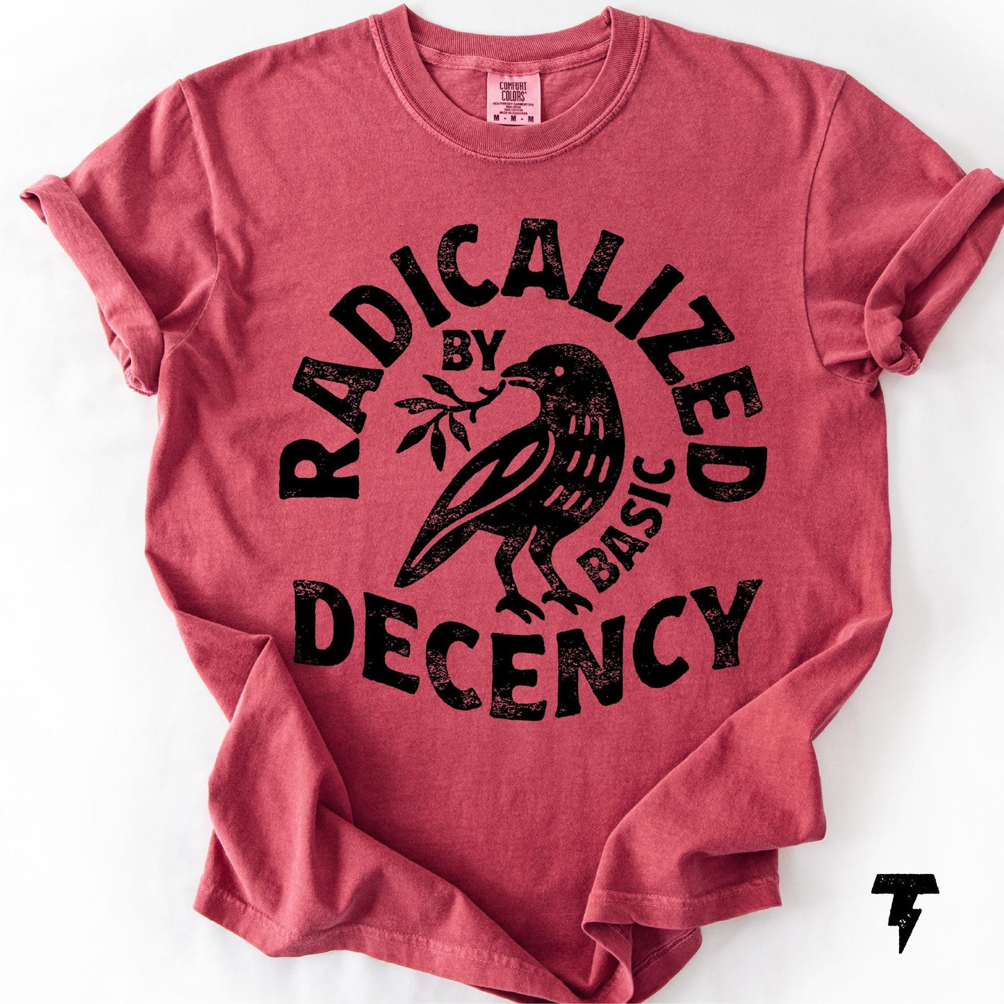 Radicalized By Basic Decency Unisex Comfort Colors® T-shirt, Political Protest Tee, Feminist Activist Gift, Liberal Clothing, Social Justice