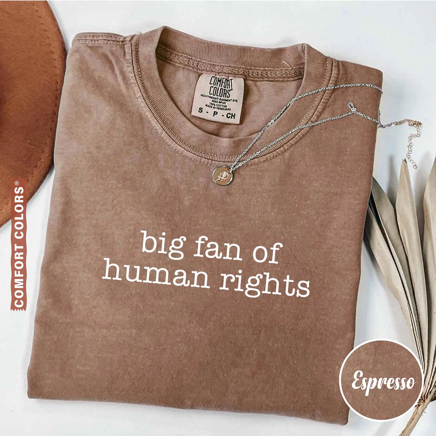 Big Fan Of Human Rights Shirt, Equality Shirt, Social Justice Shirt, Political Protest Shirt, Activist Shirt