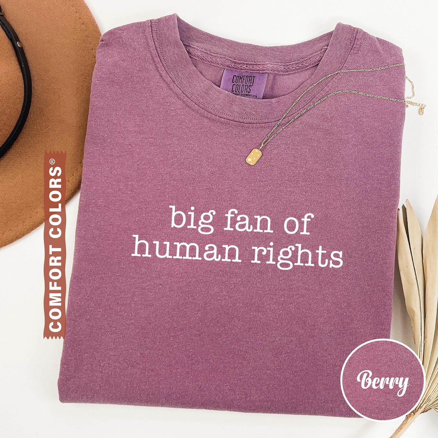 Big Fan Of Human Rights Shirt, Equality Shirt, Social Justice Shirt, Political Protest Shirt, Activist Shirt