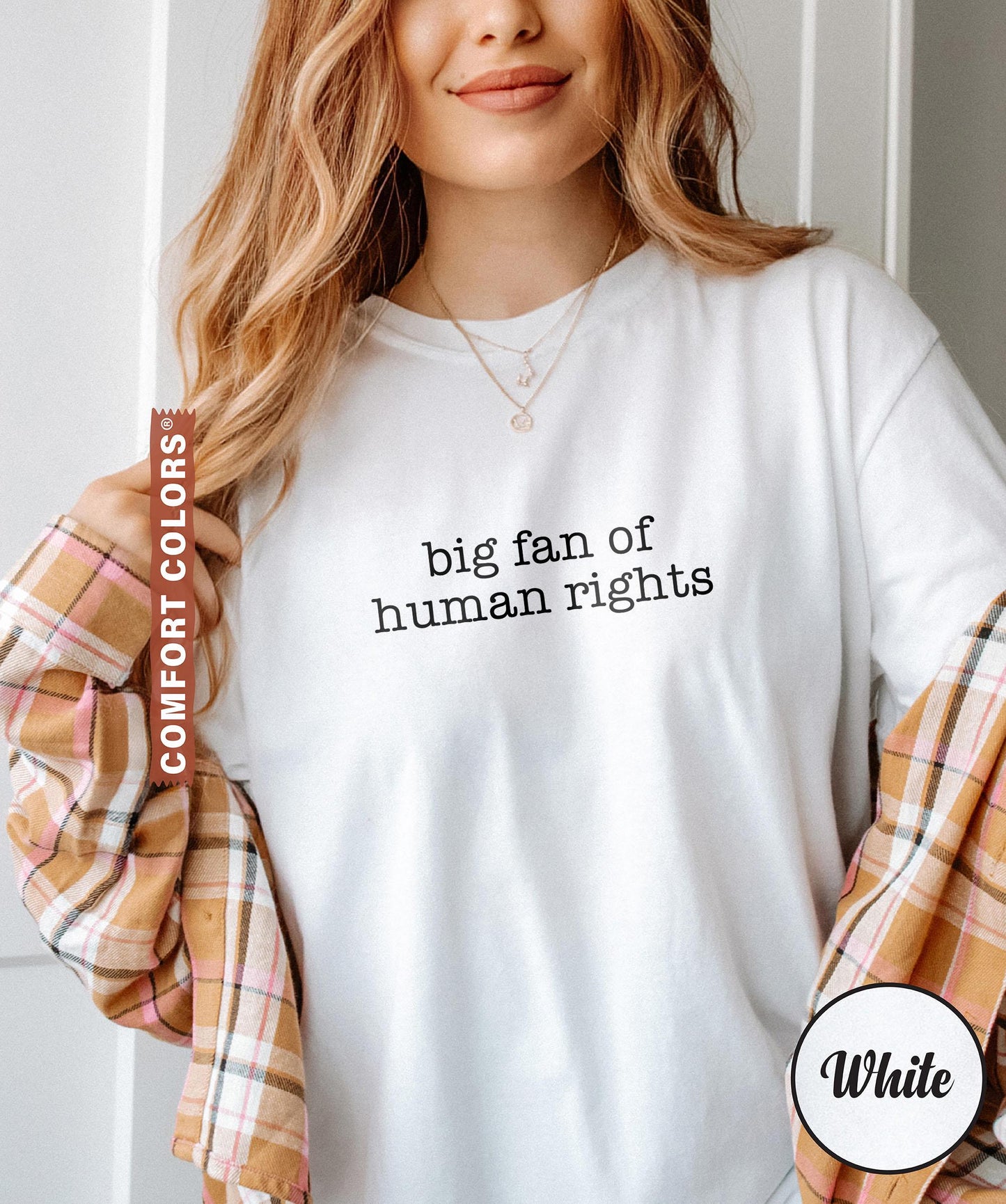 Big Fan Of Human Rights Shirt, Equality Shirt, Social Justice Shirt, Political Protest Shirt, Activist Shirt