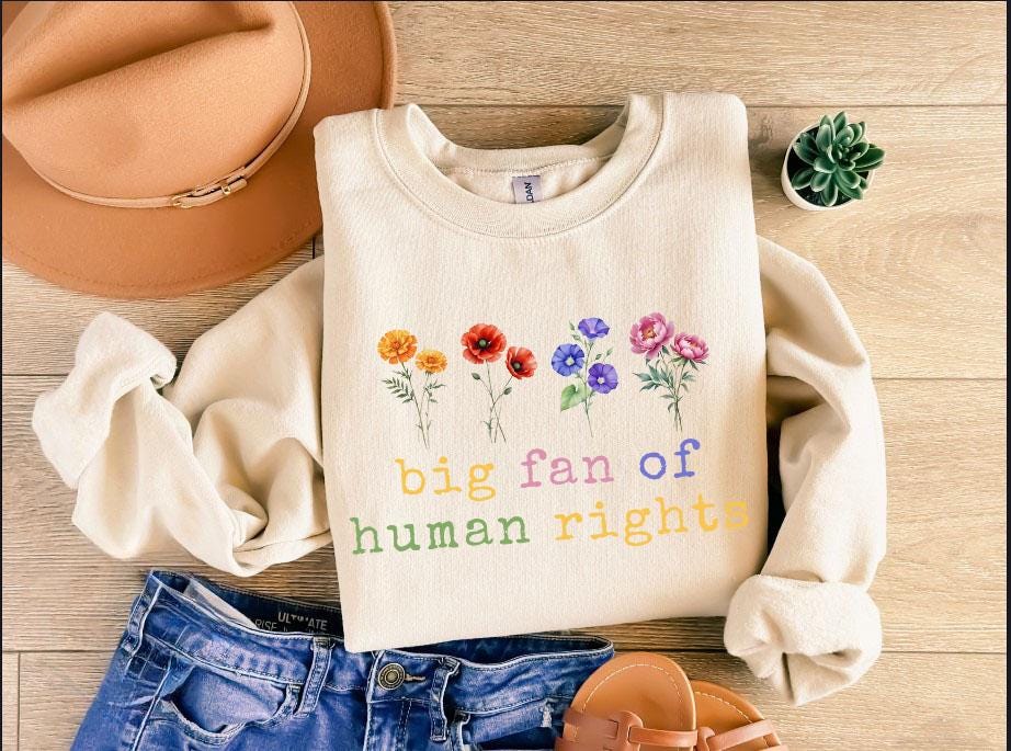 Big Fan Of Human Rights Sweatshirt Equality Long Sleeve, Social Justice Hoodie, Political Protest Shirt,Activist tShirt,Anti Trump Tee Gift
