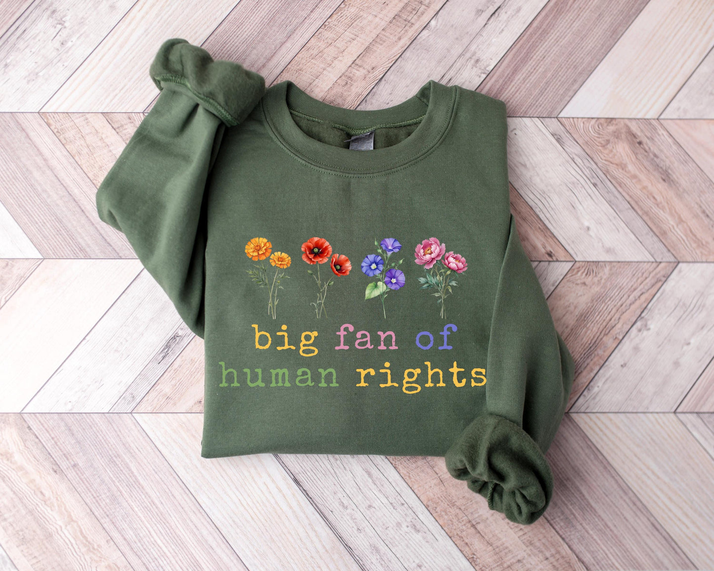 Big Fan Of Human Rights Sweatshirt Equality Long Sleeve, Social Justice Hoodie, Political Protest Shirt,Activist tShirt,Anti Trump Tee Gift