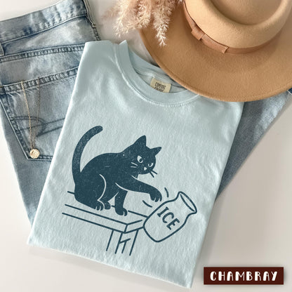 Anti ICE Pro Immigration Shirt, , Abolish ICE Funny Cat Political Tee, Human Rights Civil Rights Equality Tee, Immigration Protest Tshirt