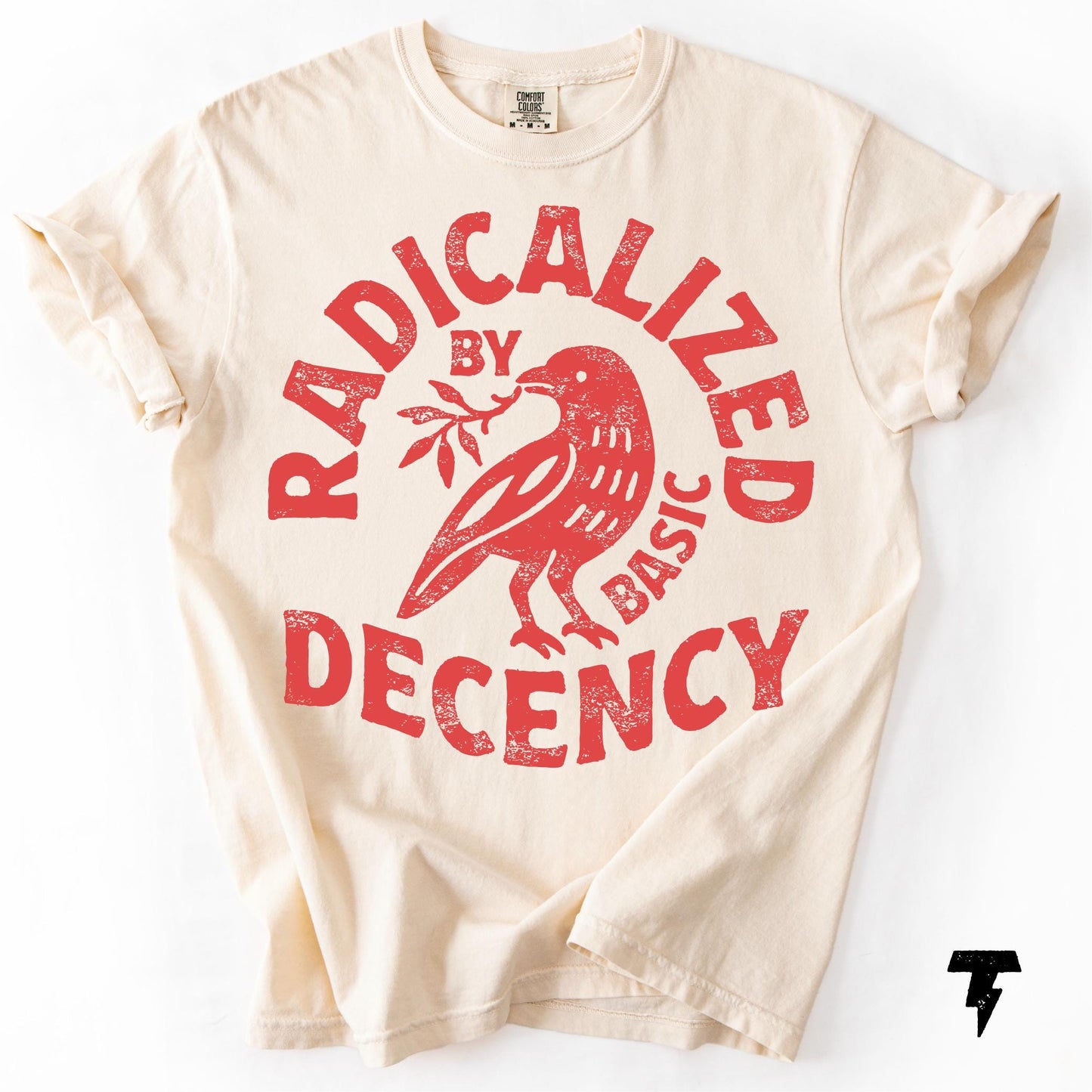 Radicalized By Basic Decency Unisex Comfort Colors® T-shirt, Political Protest Tee, Feminist Activist Gift, Liberal Clothing, Social Justice