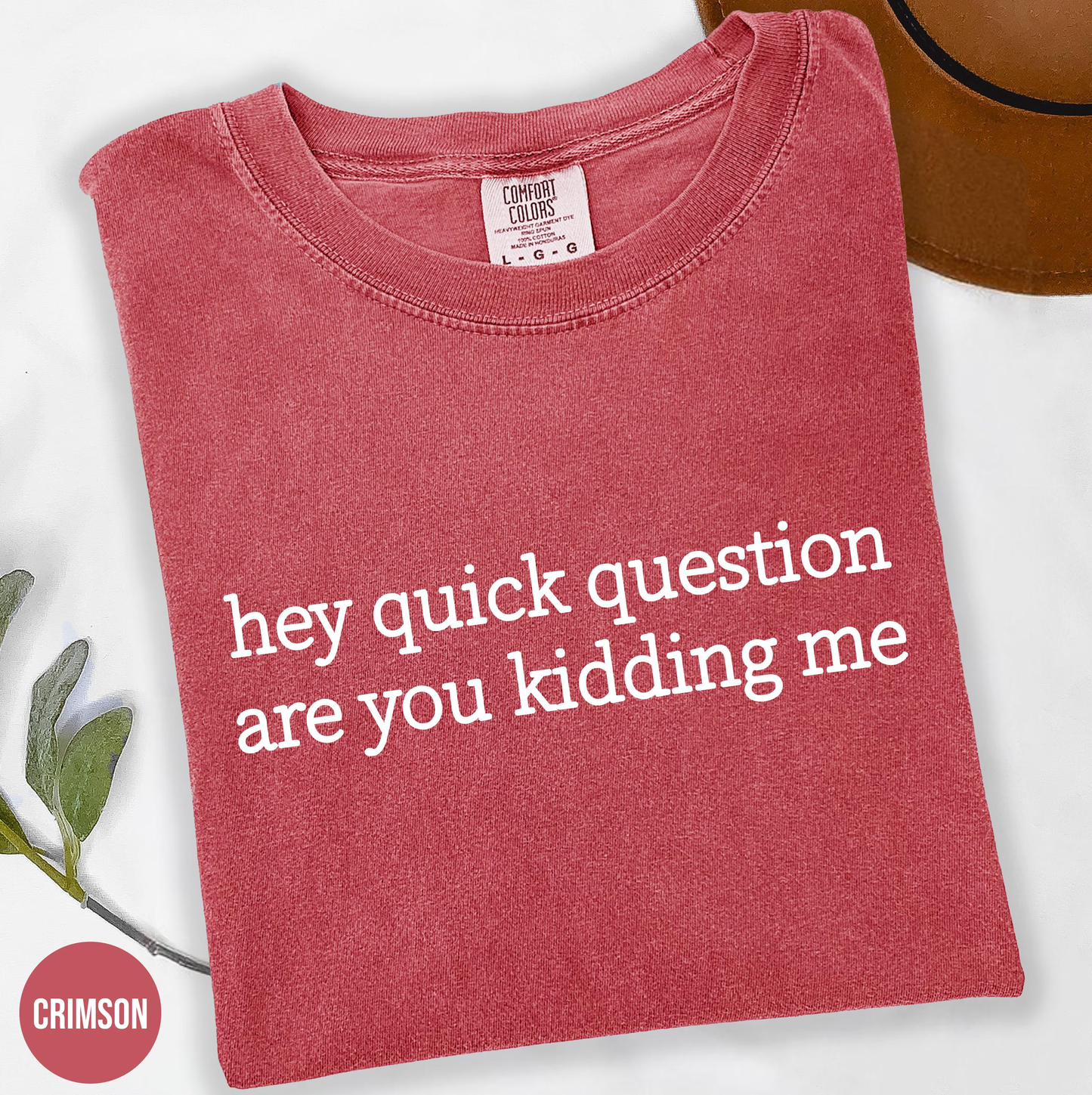 Comfort Colors® Hey Quick Question Are You Kidding Me Shirt, Sarcastic Tshirt, Funny Humor Shirt, Funny Meme Shirt, Mental Health Shirt