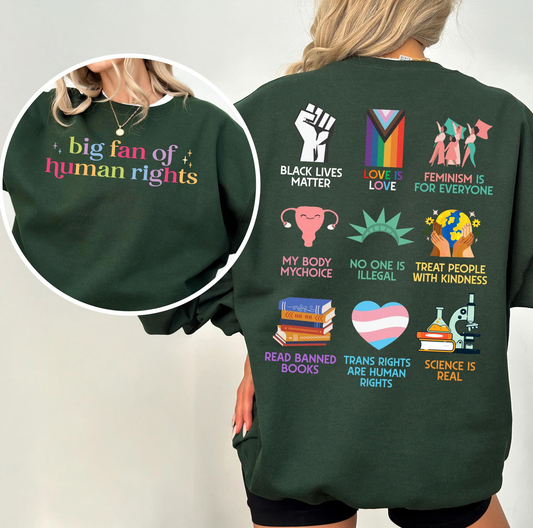 Big Fan Of Human Rights Sweater, Retro Rainbow LGBT Sweatshirt, Radicalized by Basic Decency Crewneck, Gift For Liberal, AntiTrump Gifts
